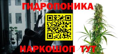 сатива Мариинск