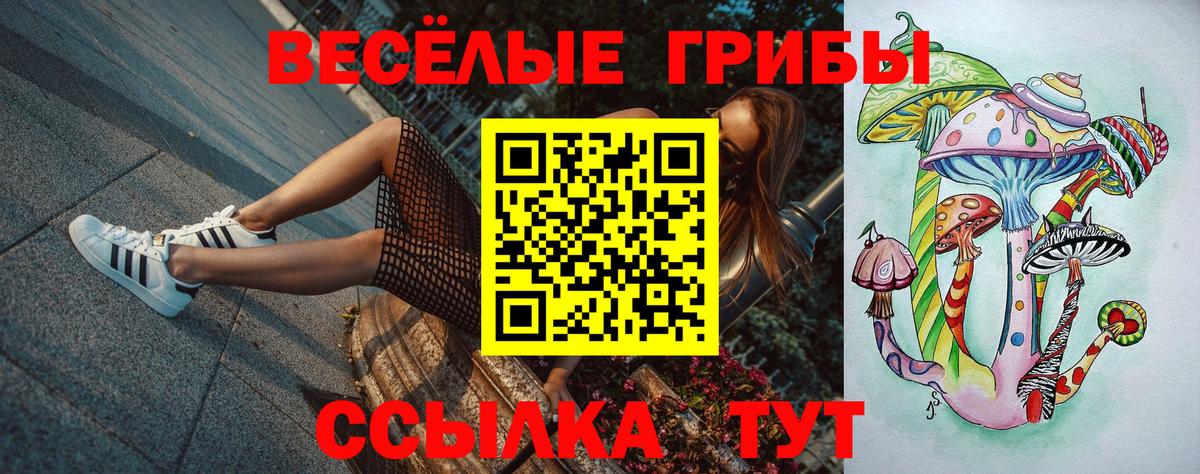 Галлюциногенные грибы Cubensis Заводоуковск