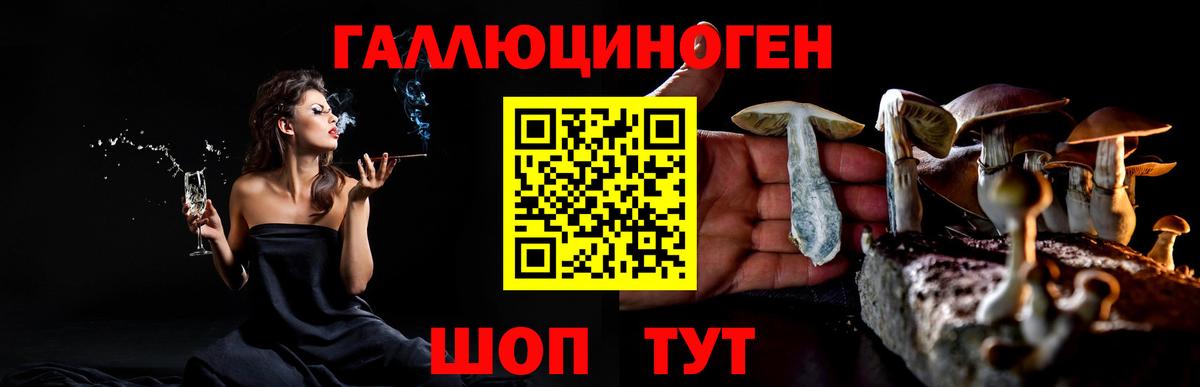 Заводоуковск  Псилоцибиновые грибы мицелий  Вход с VPN 